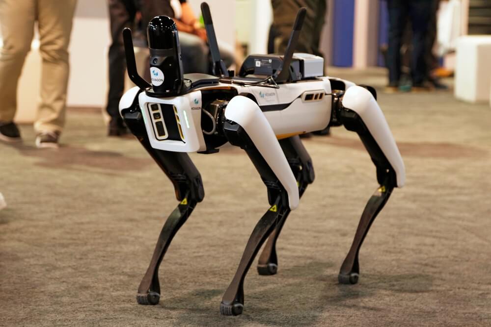 The United States is sending a robot dog to Ukraine: it will clear the  territories - ForumDaily