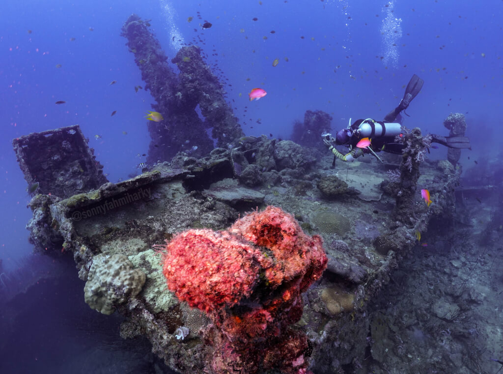 One of the decks of the MV Papatheo wreck, which broke because it sank in 1980, and now every parts transformed to be home of marine life.