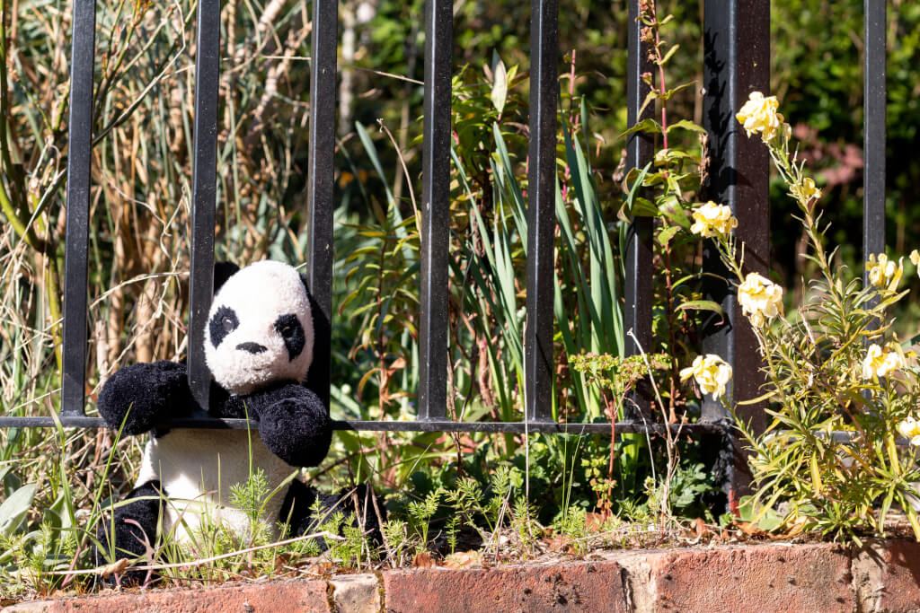 A panda bear toy placed in a garden