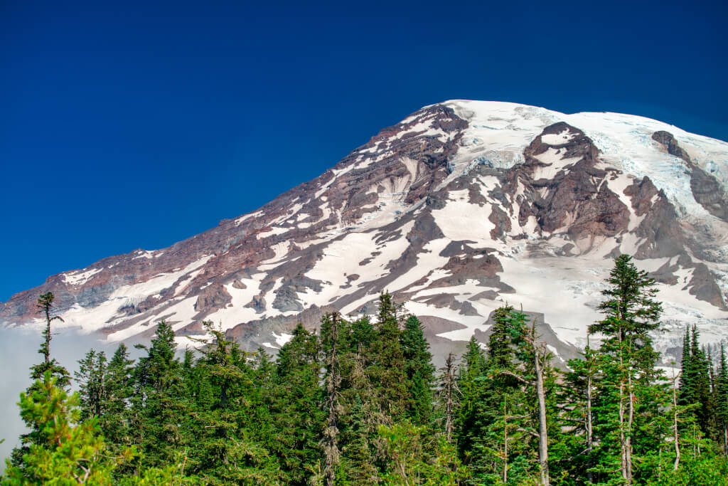 Amazing landscape of Mount Rainier National Park in summer season, Washington - USA