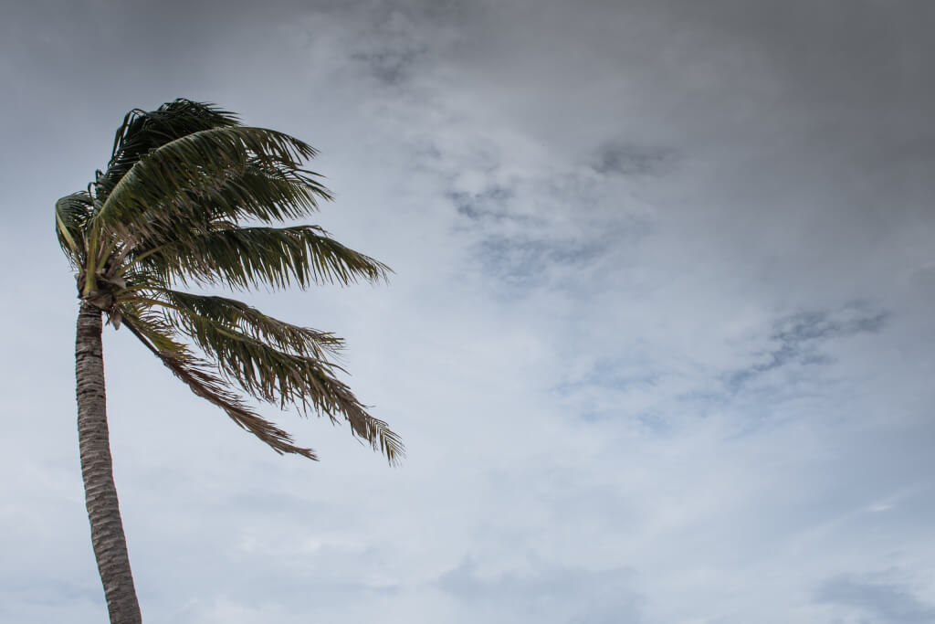 The effects of Hurricane Delta on the coastline of Grand Cayman as the Cat 4 hurricane passes to the south.