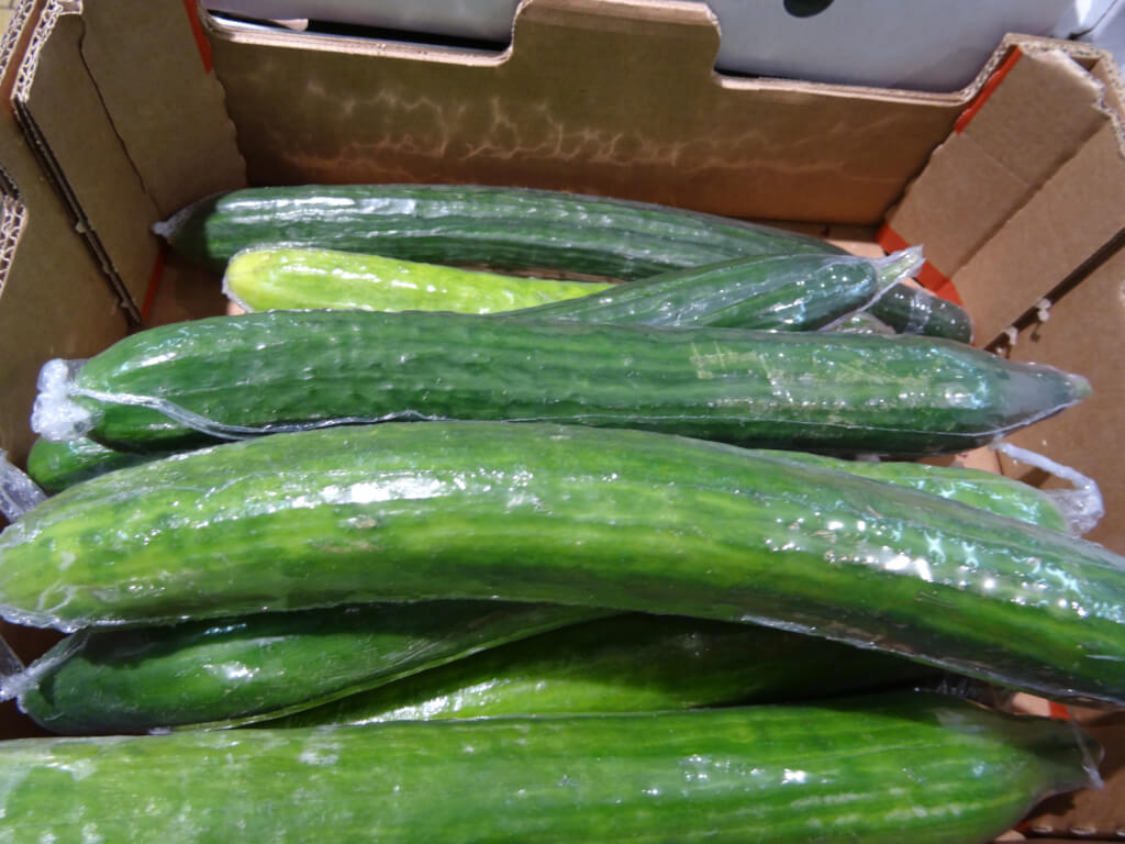 Photo showing a group of large, fresh organic green cucumbers (Latin name: Cucumis sativus) in a supermarket / fruit shop, stacked in a cardboard box and shrink wrapped in clear plastic (to reduce moisture loss and keep the vegetable clean), and being offered for sale - 'serve yourself'.