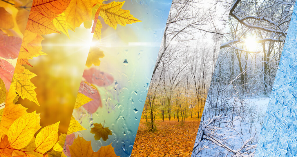 Fall and winter, weather forecast concept.